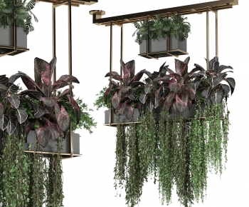 Modern Chlorophytum Comosum-ID:517931069