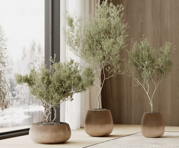 Wabi-sabi Style Ground Green Plant Potted Plants-ID:402220018