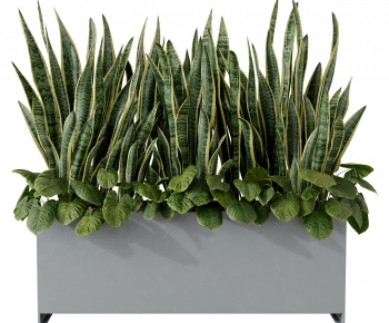 Modern Flower Bed, Flower Bowl, Flower Box-ID:788029911