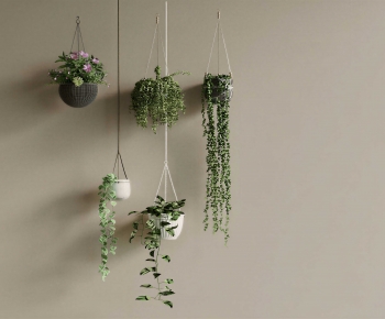 Modern Chlorophytum Comosum-ID:920870071