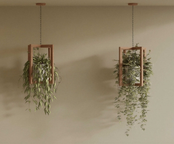 Modern Chlorophytum Comosum-ID:681576017