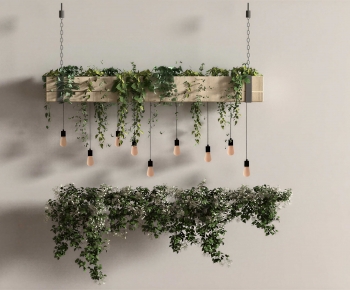 Modern Chlorophytum Comosum-ID:225220928