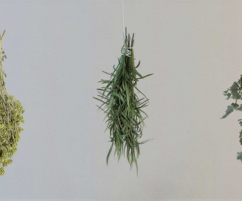 Modern Flowers And Grass-ID:430221084