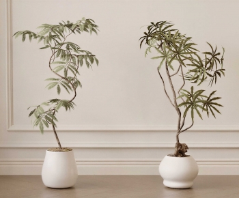 Modern Ground Green Plant Potted Plants-ID:241256952