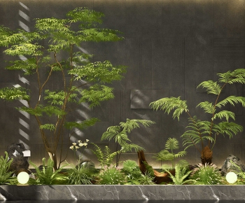 Modern Plant Landscaping-ID:805382013