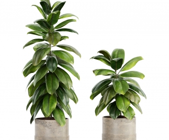 Modern Ground Green Plant Potted Plants-ID:169054031