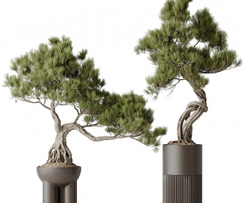 New Chinese Style Bonsai-ID:484622008