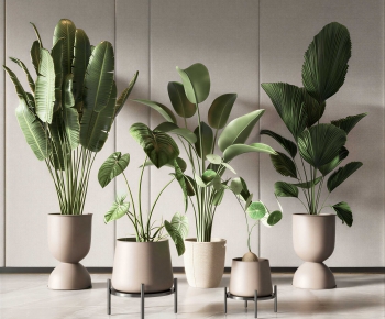 Modern Ground Green Plant Potted Plants-ID:828063019