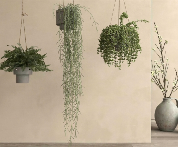 Modern Chlorophytum Comosum-ID:917611184