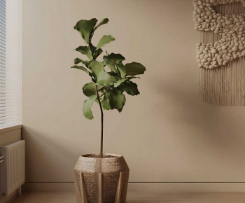Modern Ground Green Plant Potted Plants-ID:402822023
