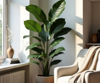 Modern Ground Green Plant Potted Plants-ID:698178055
