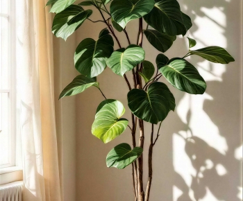 Modern Ground Green Plant Potted Plants-ID:538139101