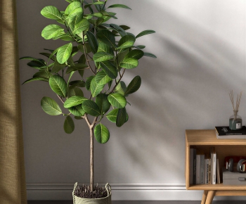 Modern Ground Green Plant Potted Plants-ID:604696997