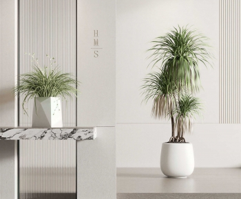 Modern Potted Green Plant-ID:786854987