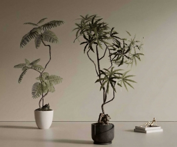 Modern Ground Green Plant Potted Plants-ID:462784058