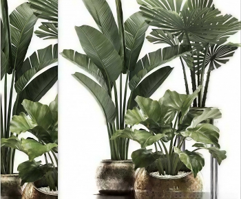 Modern Ground Green Plant Potted Plants-ID:925991062
