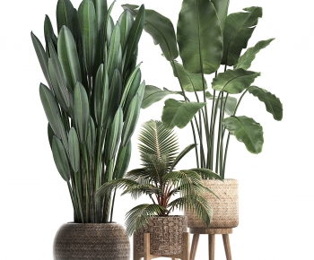 Modern Potted Green Plant-ID:473412046