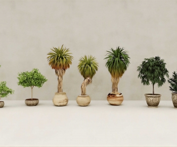 Modern Ground Green Plant Potted Plants-ID:603899002