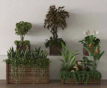 Modern Flower Bed, Flower Bowl, Flower Box-ID:898881913