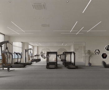 Modern Gym-ID:463488102