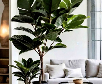 Modern Ground Green Plant Potted Plants-ID:311150076