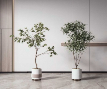 Modern Ground Green Plant Potted Plants-ID:824125054