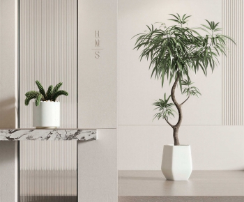 Modern Potted Green Plant-ID:864320042