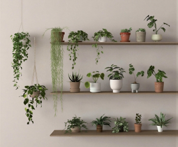 Modern Potted Green Plant-ID:198174003