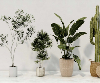 Modern Ground Green Plant Potted Plants-ID:794084071