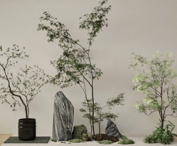 Modern Plant Landscaping-ID:434650901