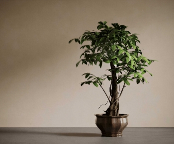 New Chinese Style Ground Green Plant Potted Plants-ID:175781019