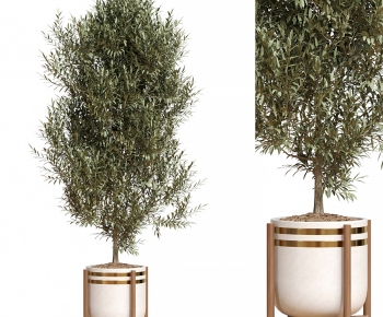 Modern Ground Green Plant Potted Plants-ID:634435896