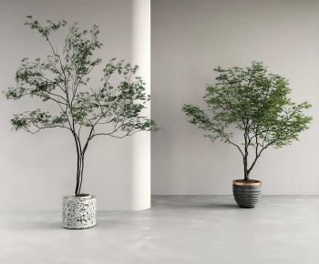 Modern Potted Green Plant-ID:881035099