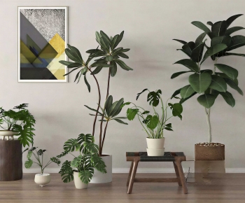 Modern Ground Green Plant Potted Plants-ID:946804058