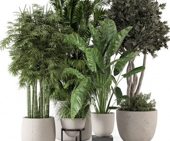 Modern Ground Green Plant Potted Plants-ID:511698015