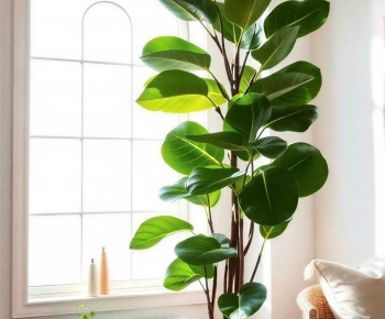 Modern Ground Green Plant Potted Plants-ID:581769934
