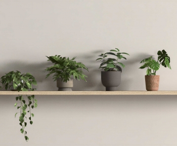 Modern Potted Green Plant-ID:939791925