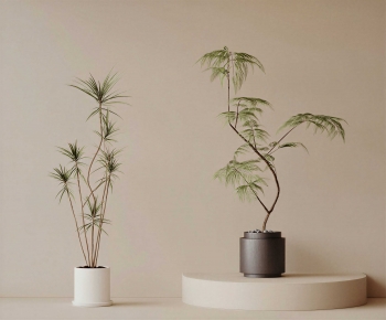 Modern Ground Green Plant Potted Plants-ID:644680027