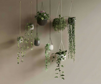 Modern Chlorophytum Comosum-ID:375280438