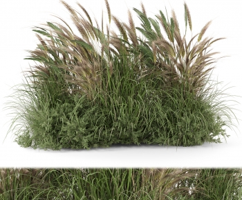 Modern The Grass-ID:884099013