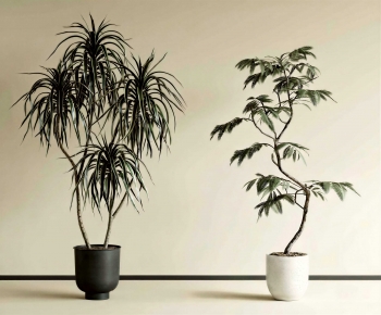 Modern Ground Green Plant Potted Plants-ID:713972099