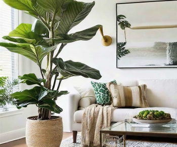 Modern Ground Green Plant Potted Plants-ID:889779096