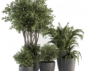 Modern Ground Green Plant Potted Plants-ID:102880072