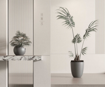 Modern Potted Green Plant-ID:317455055