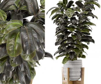 Modern Ground Green Plant Potted Plants-ID:570787915