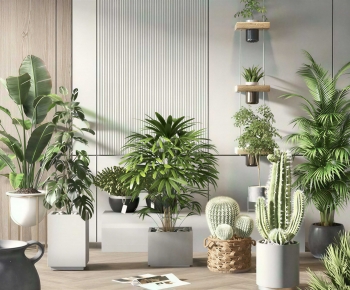 Modern Ground Green Plant Potted Plants-ID:508779058