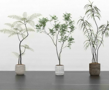 Modern Ground Green Plant Potted Plants-ID:977969889