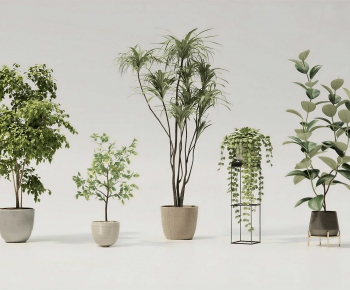 Modern Ground Green Plant Potted Plants-ID:385504013