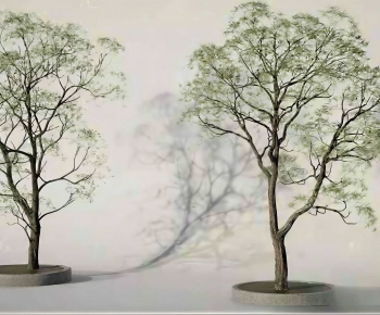 Modern Tree-ID:204889891