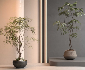 Modern Ground Green Plant Potted Plants-ID:596389832